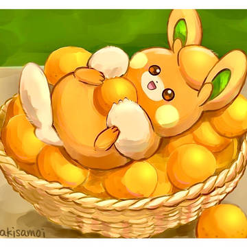 オレンジ収穫とパモ