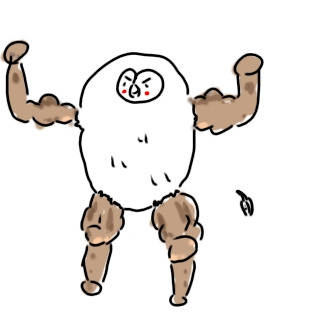 マッチョ