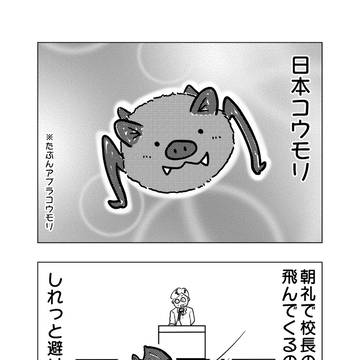 日本コウモリ：田舎寄りの高校にて