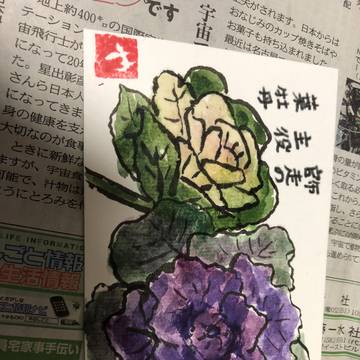 葉牡丹絵手紙