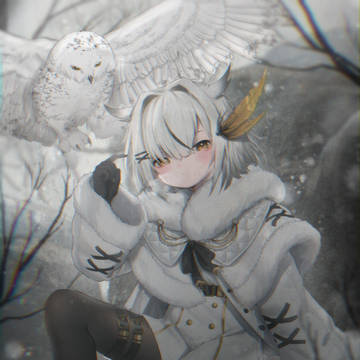 snowy owl