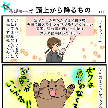 頭上から降るもの