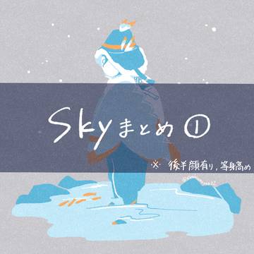 Skyまとめ①