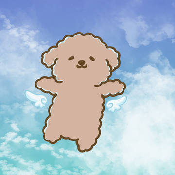 狗