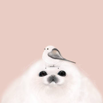 シマエナガとあざらし