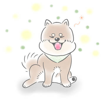 まるしば