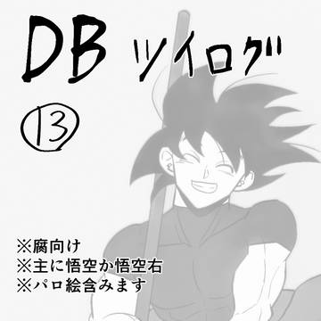 ついろぐ13