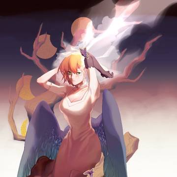 羽鸟