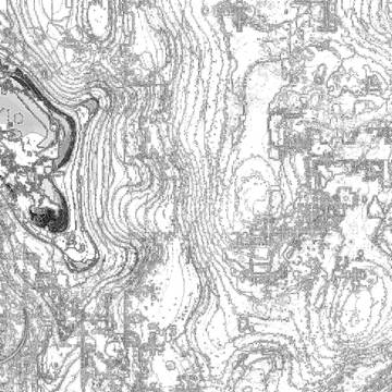 左半身の上