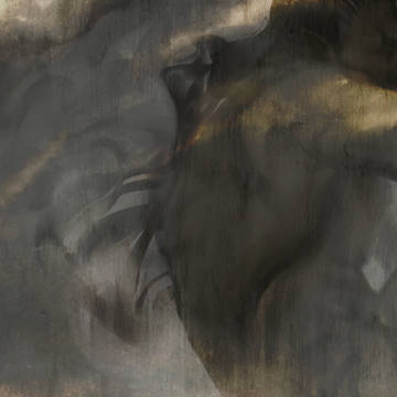 Lobo