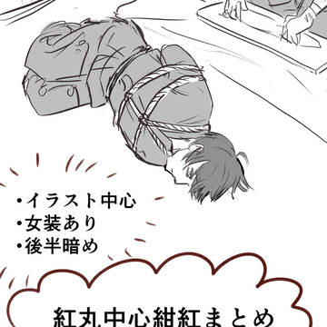 紅丸中心紺紅まとめ③