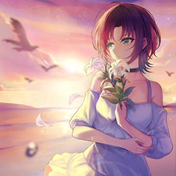 海