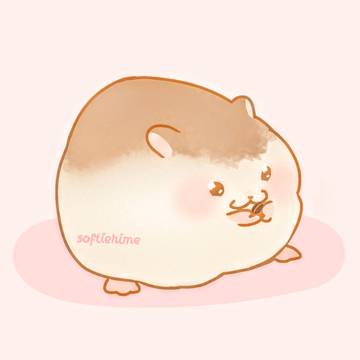 hammy🐹🌻🌸💞