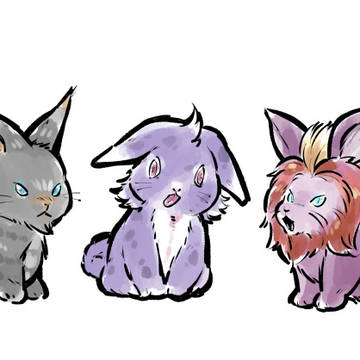 うさぎ練習