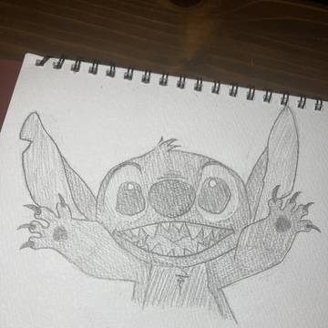 ｽﾃｨｯﾁｨ🌺