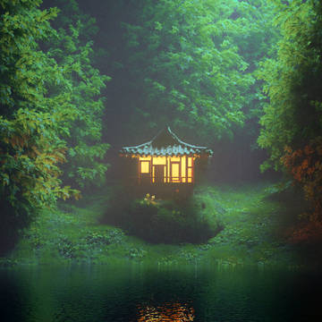 forest