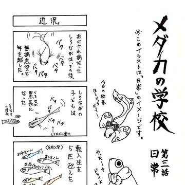 メダカの学校第三話　日常