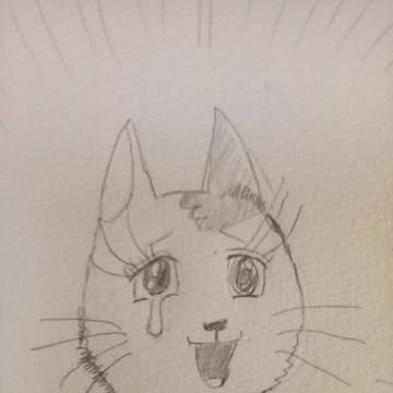 こんな表情する猫おる？