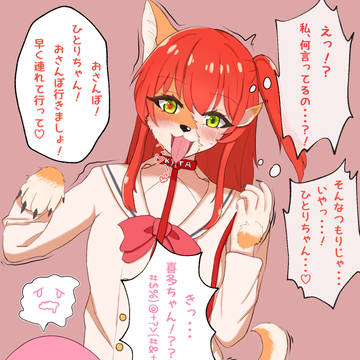 犬TF