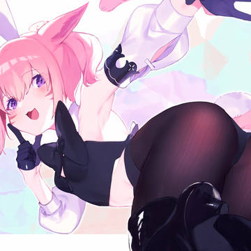 🐰😺