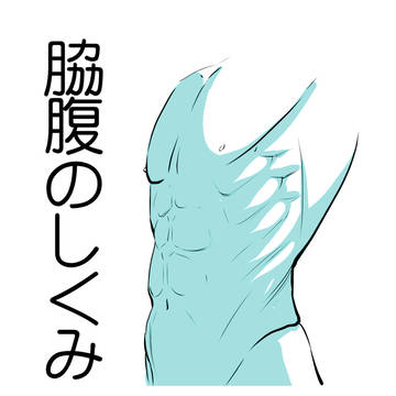 脇腹のしくみ