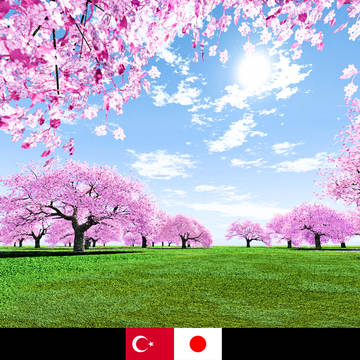 トルコ地震、一人でも多くの方が助かって欲しい！