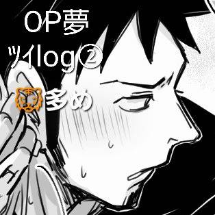 OP夢ﾂｲlog②
