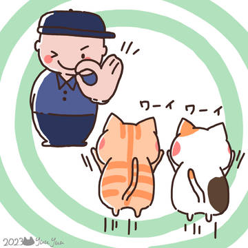 ネット開通確認OKでした🙌