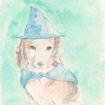 うちの犬さん