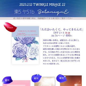 2/12 TWINKLE MIRAGE22 お品書き