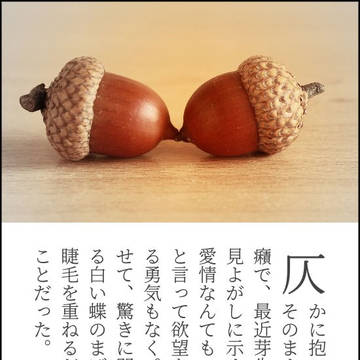ロビシャルロビSS詰め２