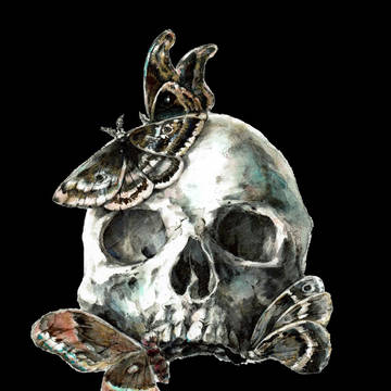 Sex and Death