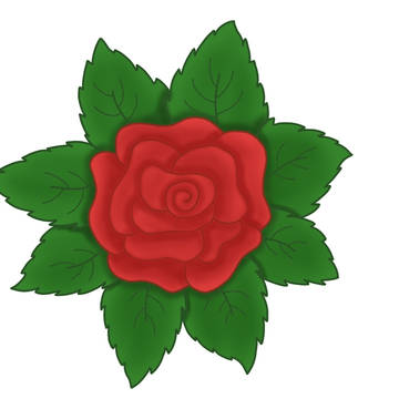 rose