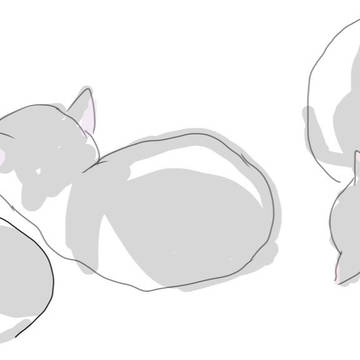 白黒の猫