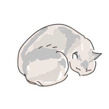 ともだちのうちの猫