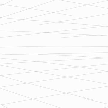 fly animation