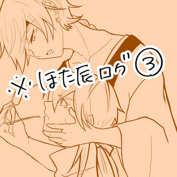ほた辰ついログ3