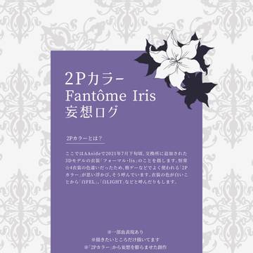 2Pカラーのファントムログ