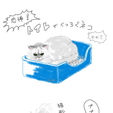 ペルシャねこ日記まとめ①