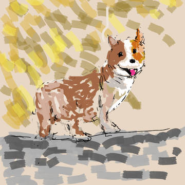 犬