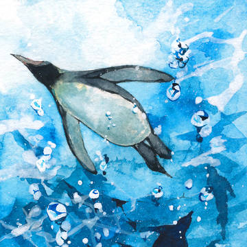 海を翔ぶ