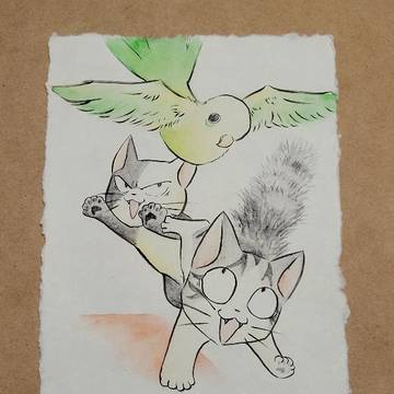 チーとコッチとインコ