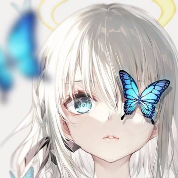 🦋🦋🦋