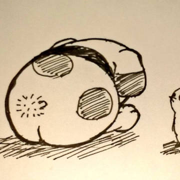PKMN