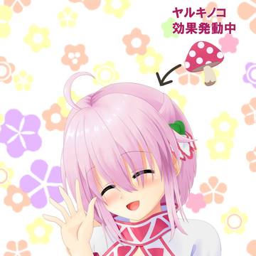 シクラメン