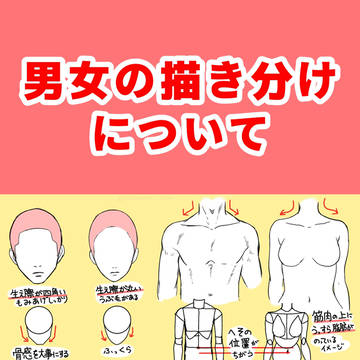 男女の描き分けについて