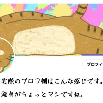 ツイッタープロフ用ネコ　追記