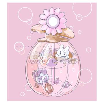 ひまわり種シャンプー🌻🐰