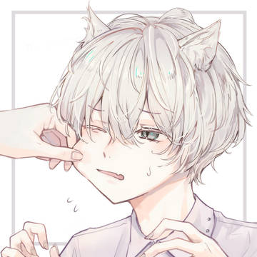 もちふわ君。・＊　ねこの日