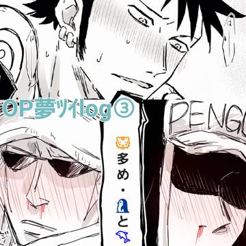 OP夢ﾂｲlog③